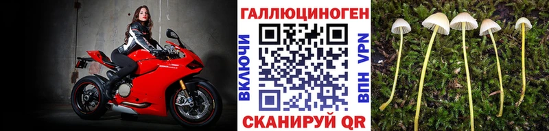 Галлюциногенные грибы прущие грибы  что такое   Хадыженск 