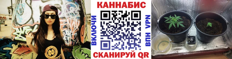 МАРИХУАНА ГИДРОПОН  Хадыженск 